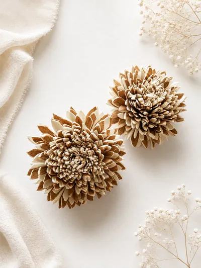Large two-tone sola dahlias with natural bark-edged petals
